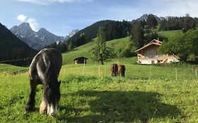 Au Pre Des Chevaux